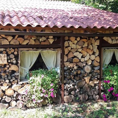 Appartment Bezenica Dobrova Exterior foto